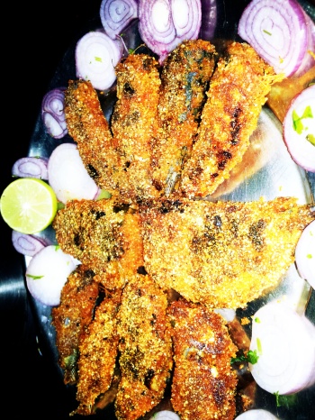 Various fish- Rawa Fry